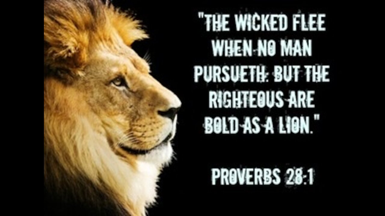 Justice is Coming! 🦁❤️👼🤍👼❤️🦁
