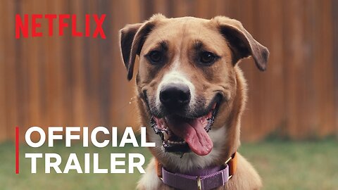Inside the Mind of a Dog | Official Trailer (2024)