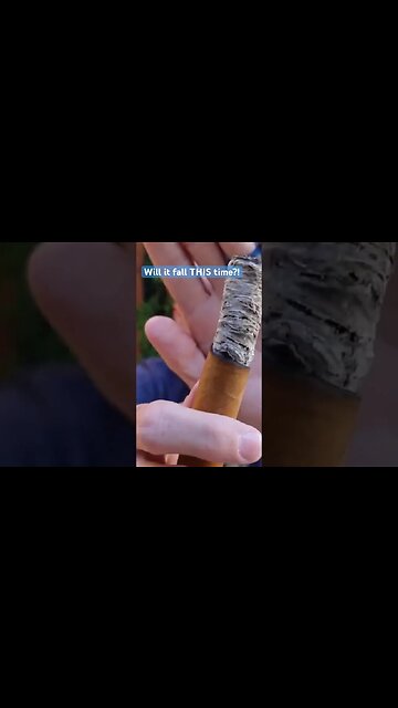 Another Incredibly LONG Ash #cigar #cigars #beautiful