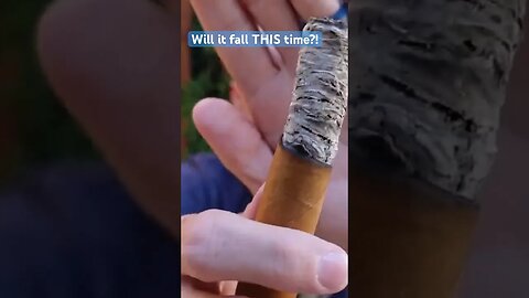 Another Incredibly LONG Ash #cigar #cigars #beautiful