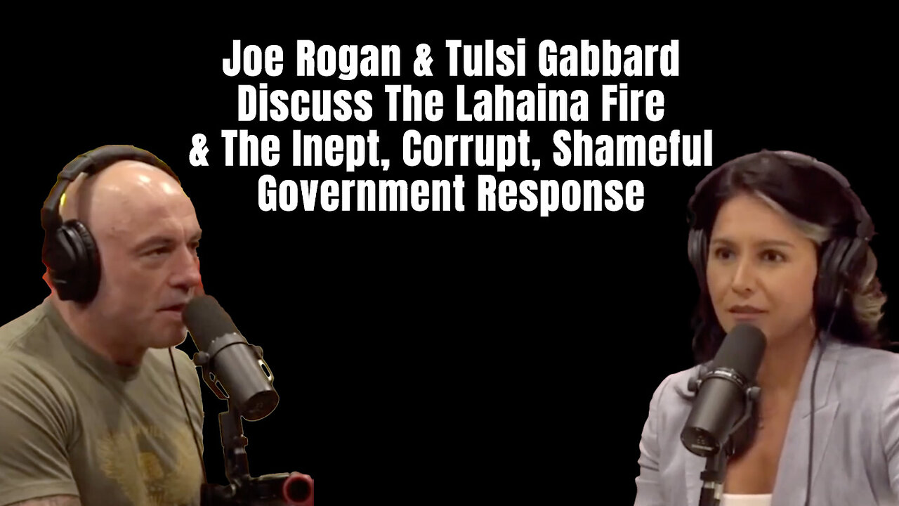 Joe Rogan & Tulsi Gabbard Discuss The Lahaina Fire & The Inept, Corrupt, Shameful Gov. Response