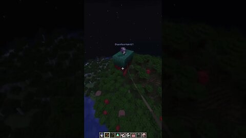 Minecraft now has Magic Carpets.