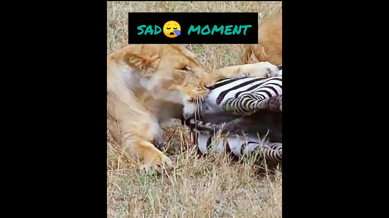 sad moment😭