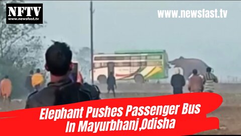 Elephant Pushes Passenger Bus In Mayurbhanj,Odisha