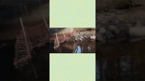 #compilation #epicday #ytshorts #ytshort #sports #yt