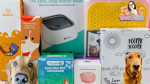 Unboxing and Review of Amazon Pet Finds