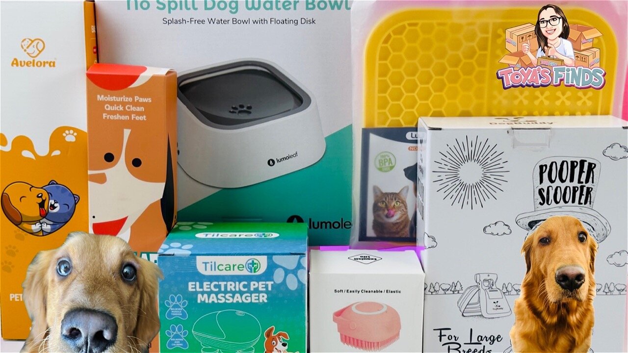 Unboxing and Review of Amazon Pet Finds
