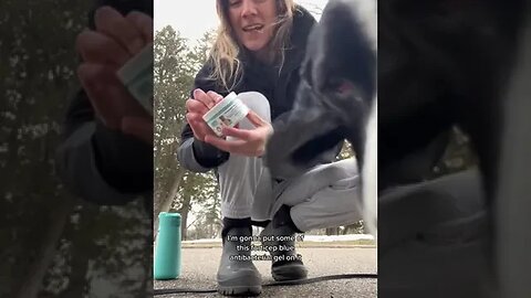 Dogs, Dogvideos, Dogproducts, Dogcare doglovers dogowners 48