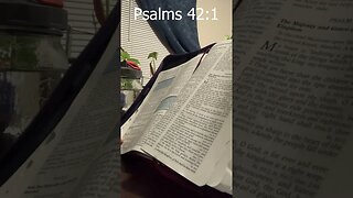 Morning Prayer 3: Psalms 42:1