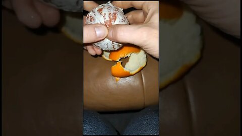DJI Osmo Mobile 6 Fruit Hyperlapse/Timelapse/Zeitraffer
