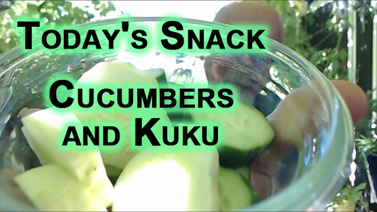 Today's Snack: Cucumbers and Kuku [Eating Food ASMR]