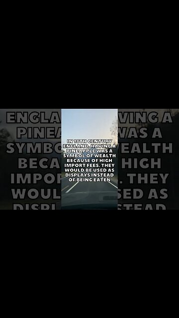 Incredible Random Facts That Will Expand Your Mind! [2023] #shorts #facts #viralshorts #fyp #life