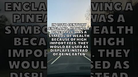 Incredible Random Facts That Will Expand Your Mind! [2023] #shorts #facts #viralshorts #fyp #life