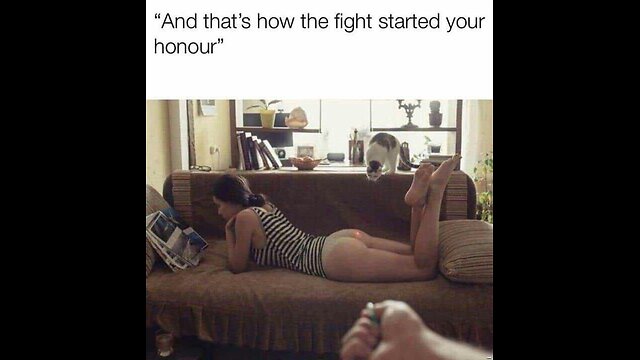 Memes That Will 99.944% Make You Laugh.