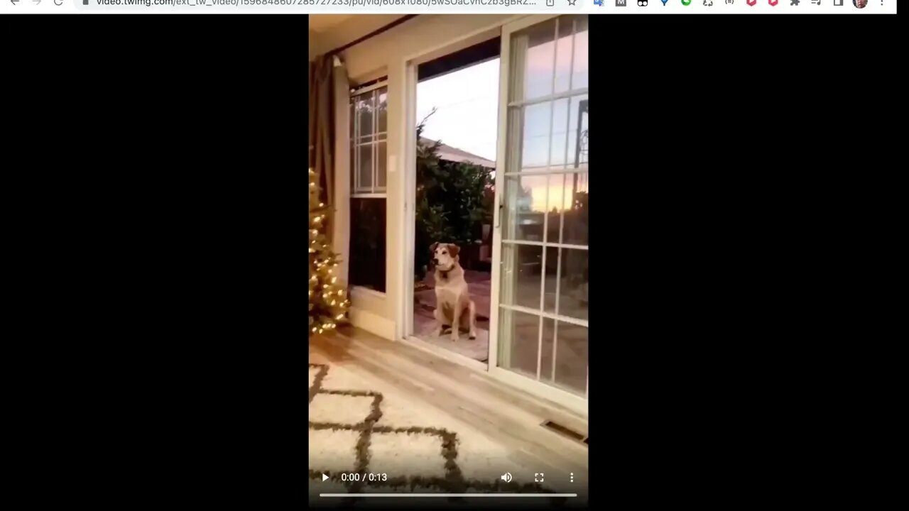 冇獎品問答，請看到最後