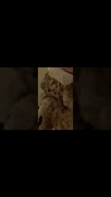 ehh Bigfoot.. what are you doing? 😅😱#shorts