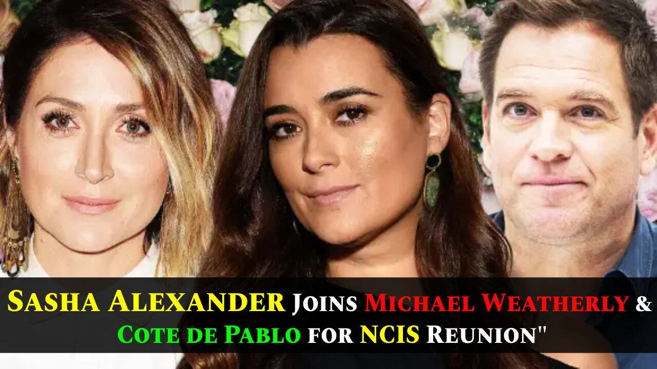 Wow! NCIS Alum Sasha Alexander Reunites with Michael Weatherly & Cote de Pablo