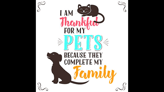 I'm Thankful For My Pets [GMG Originals]