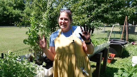 Updated Garden Tour