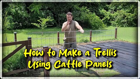 Building a Trellis Using Cattle Panels