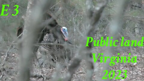 Turkey Hunting in the BACK COUNTRY!!! (Virginia Public Land Gobbler)