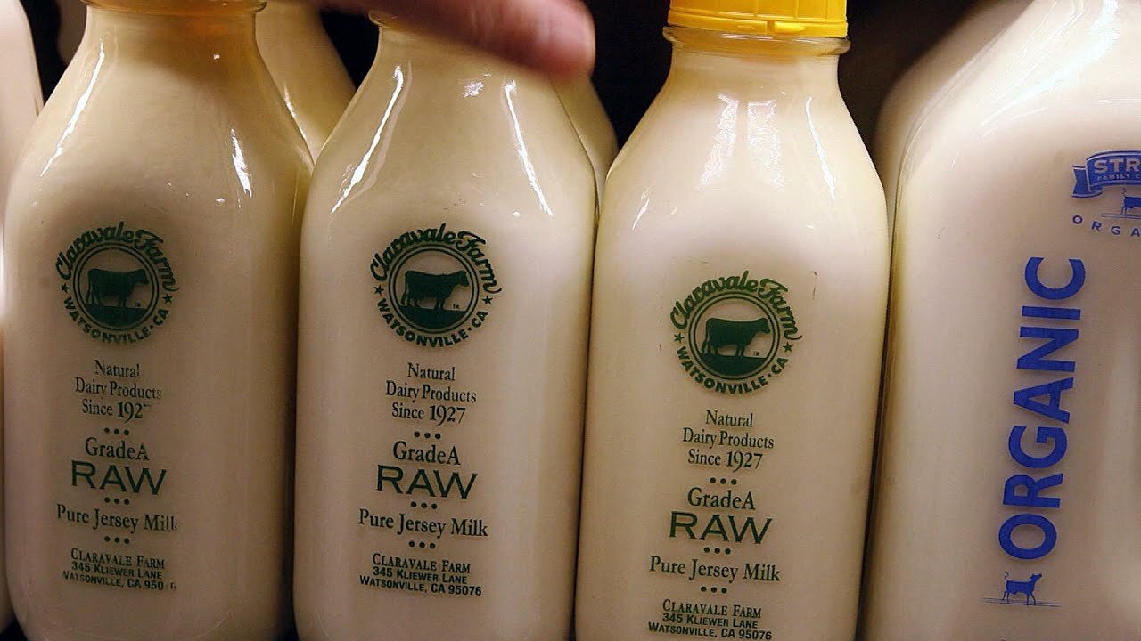 Growing online movement promotes raw milk despite health warnings
