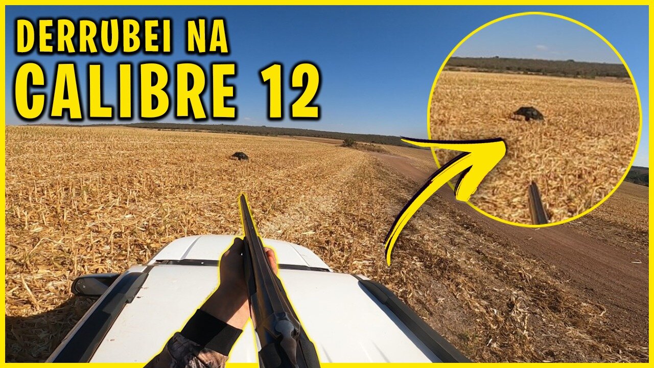 Tiro de 12 em Javali com Camionete em movimento #Shorts