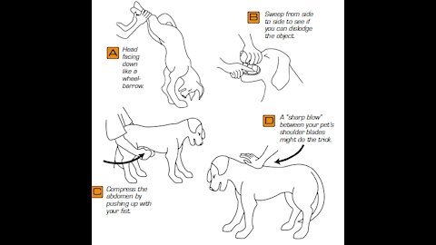 How To Help A Choking Dog
