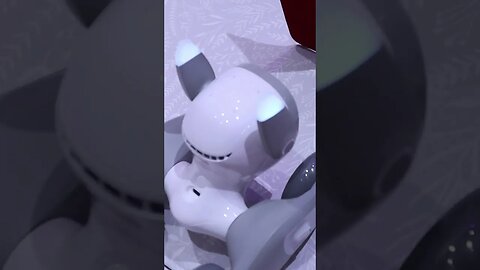 Loona Robot - Game With Voice Command 🤖 #shorts