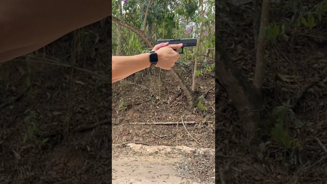 ALVO, PAREDE, GATILHO, FOGO, PAREDE… e repete.