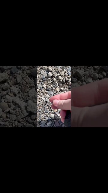 That will ruin your day! 🥲🎣