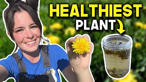 The Most Hated Plant Can Transform Your Health