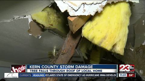 Tree falls through roof of southwest Bakersfield home