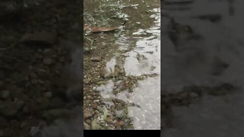 Relaxing rain video| raining |short cinematic rain video #shorts