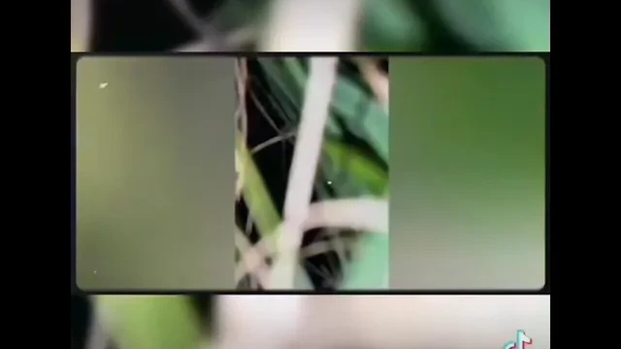 The Rake captured on camera!