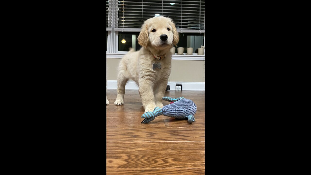 Watch me grow in 20 pictures