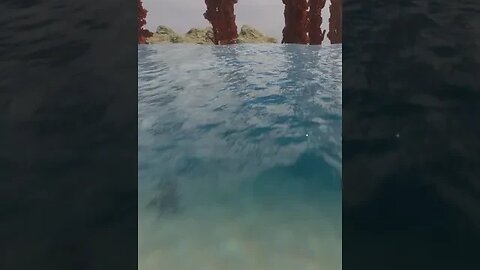 Lost World EA Clips - This is what is eating you while swimming