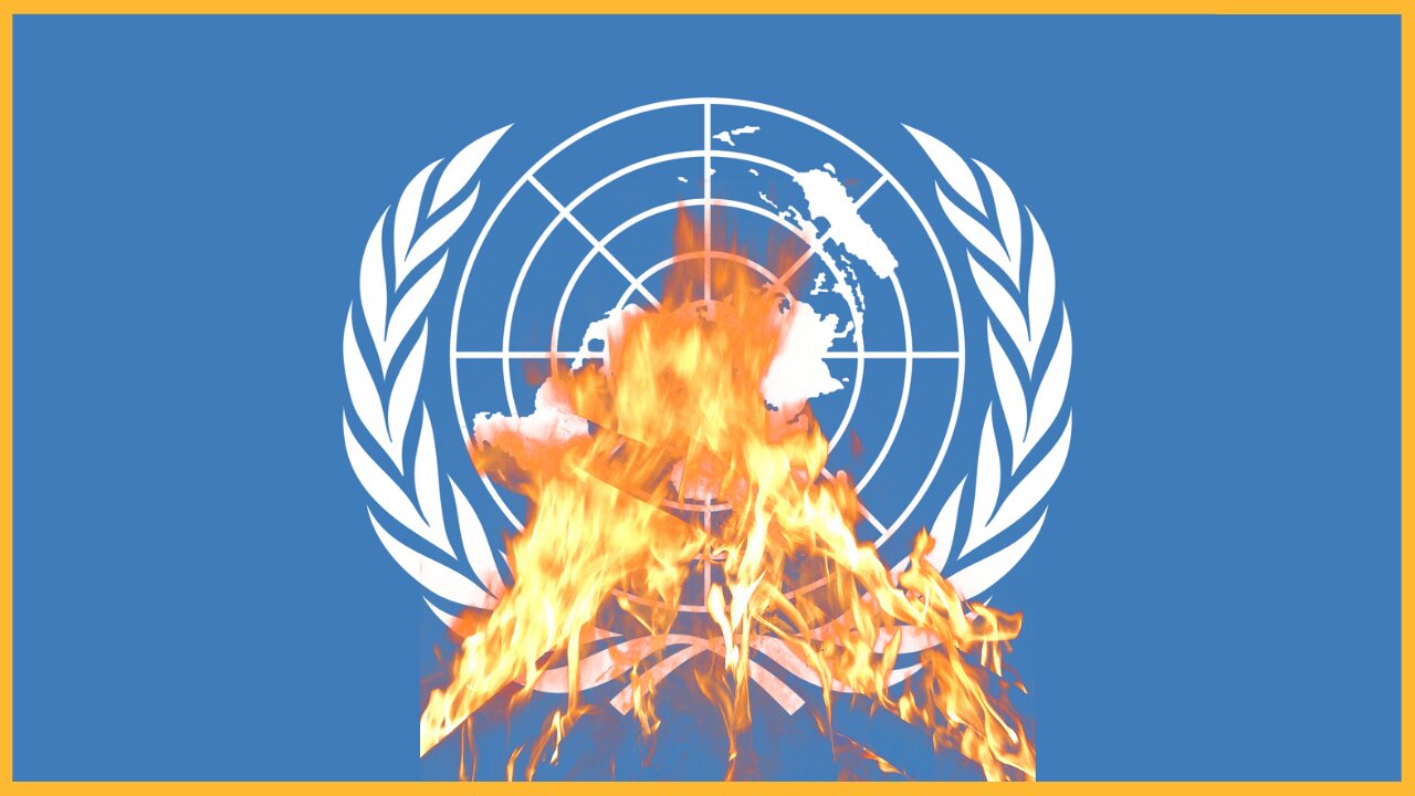 🔴 The Maverick Party on UN / WEF / Climate Change