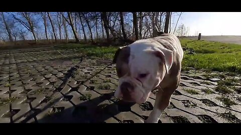 Famke wilde eerst niet... later tòch wel.