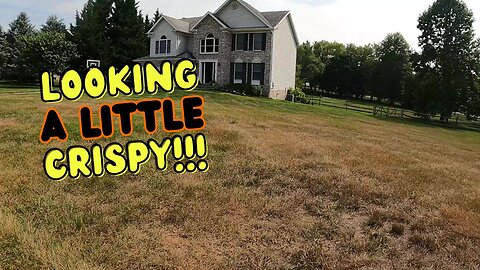 I Mowed this Brown Dry Yard!!!