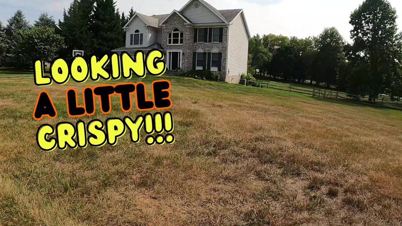 I Mowed this Brown Dry Yard!!!
