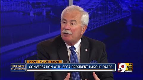 SPCA president retires after 42 years