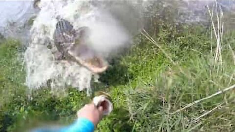 Un pêcheur à deux doigts de perdre la main