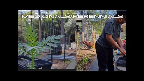 Growing our medicine cabinet. (+ our new build!)