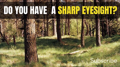 Can You Spot The Sniper Before He Shoots You?
