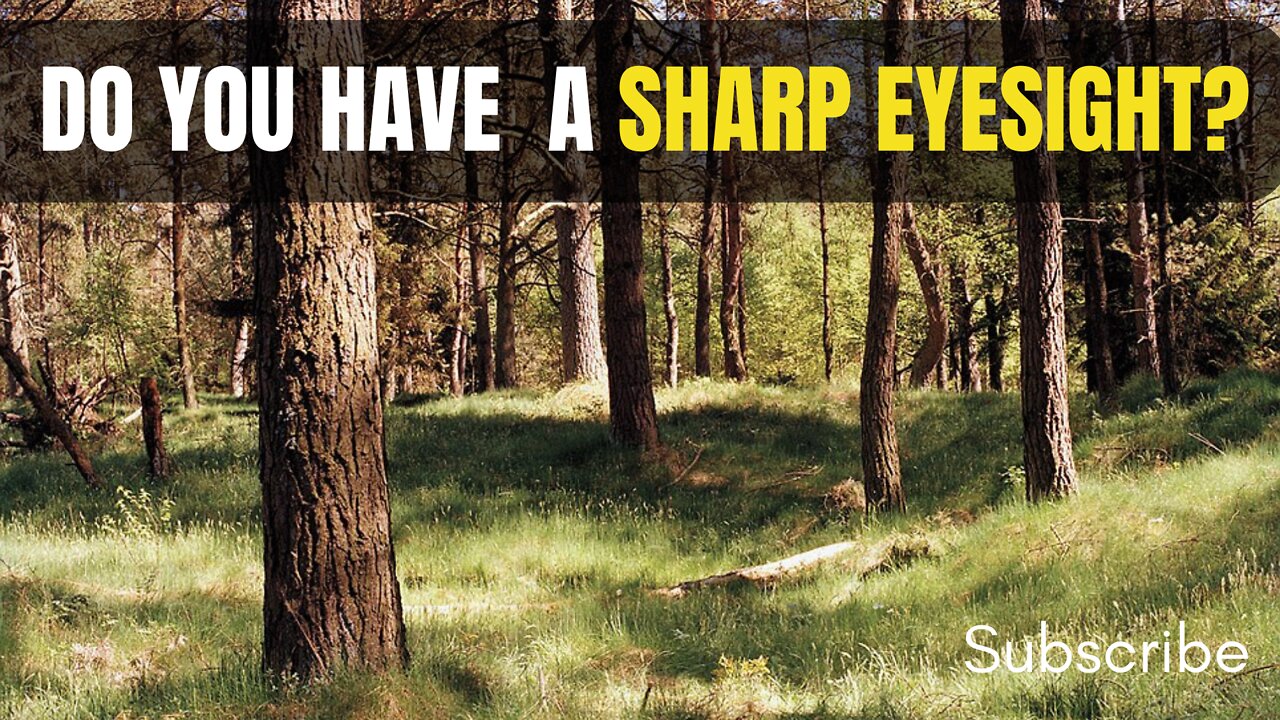 Can You Spot The Sniper Before He Shoots You?
