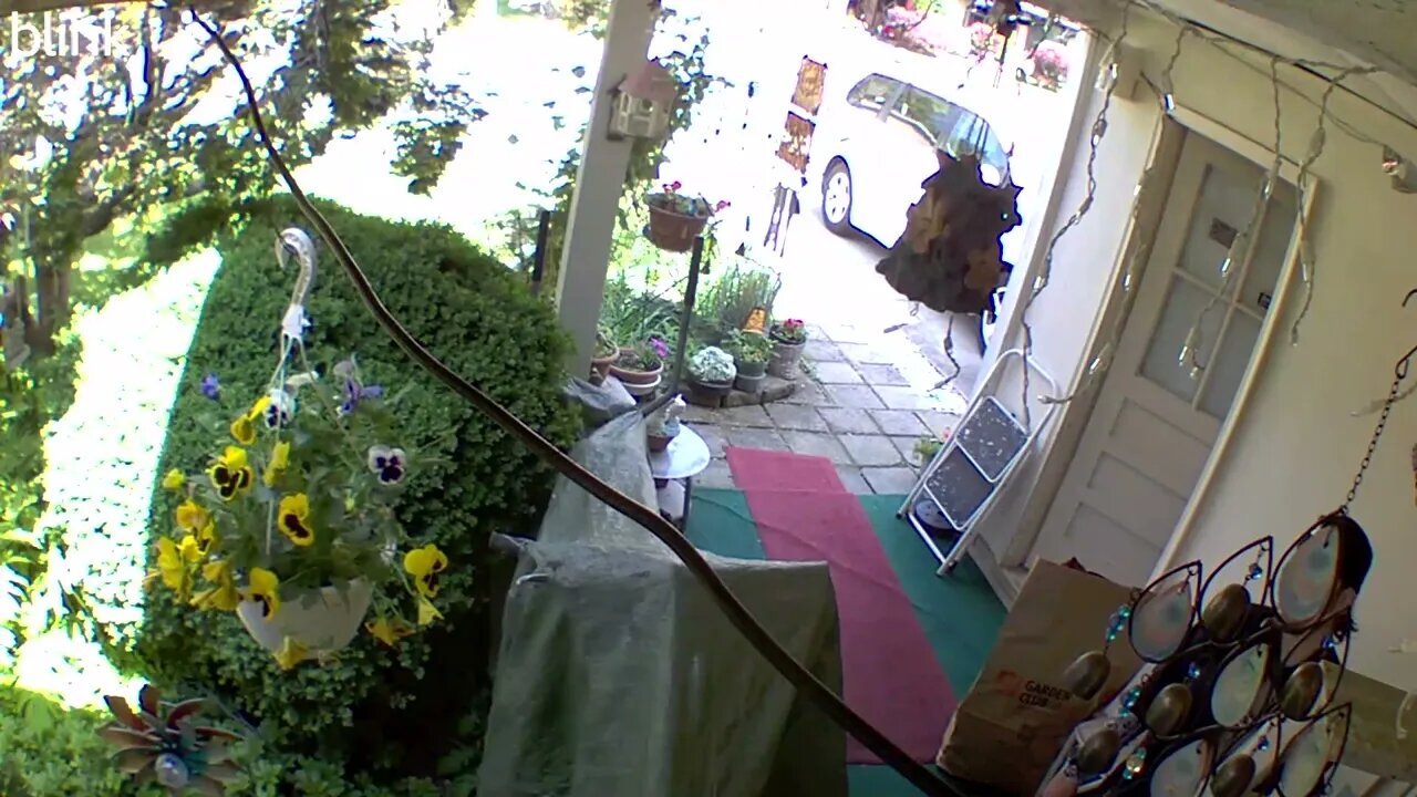 NORTH_VIDEO_DOOR_BELL_2023-05-18T11_27_10-0400.mp4