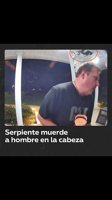 Una serpiente escondida en la puerta de una casa muerde a un hombre en la cabeza