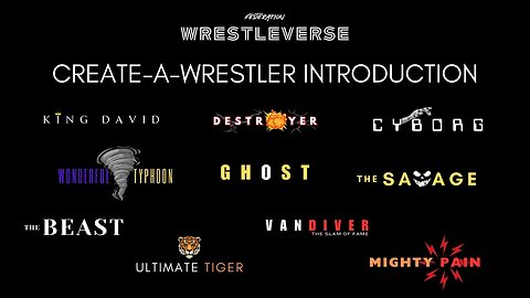 Wrestleverse CAW Introduction
