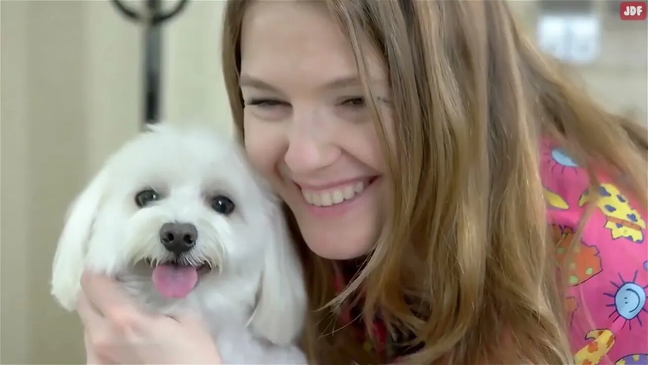 15 Things Dogs Love the Most